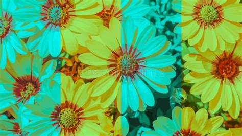 Flowers Aesthetic Watercolor Wallpaper Stock Image Image Of Graphic