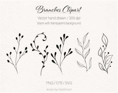 Hand Drawn Leaves Svg Branches Bundle SVG Hand Drawn Leaves Svg Leaf