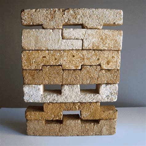 An Emerging Sustainable Construction Material Mycelium Bricks Happho