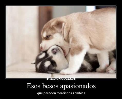 Esos Besos Apasionados Desmotivaciones