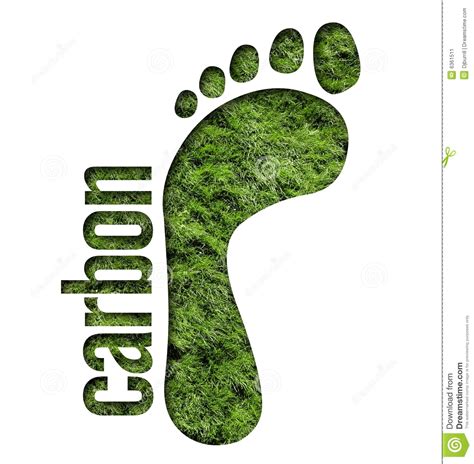 Reducing our Carbon Footprint