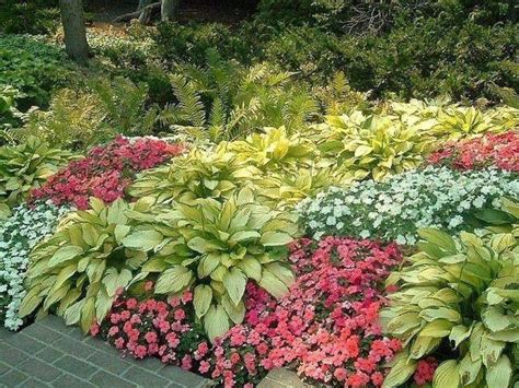 23 Hosta Garden Under Tree Ideas To Consider Sharonsable