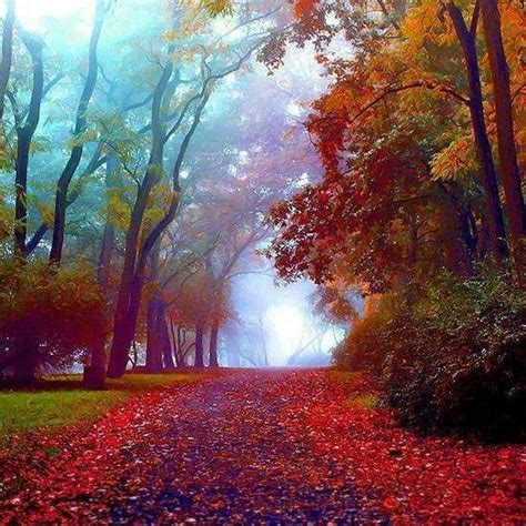 Beautiful Fall Colors Autumn Pinterest
