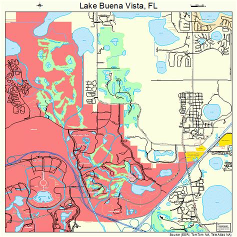 Lake Buena Vista Florida Street Map 1237625