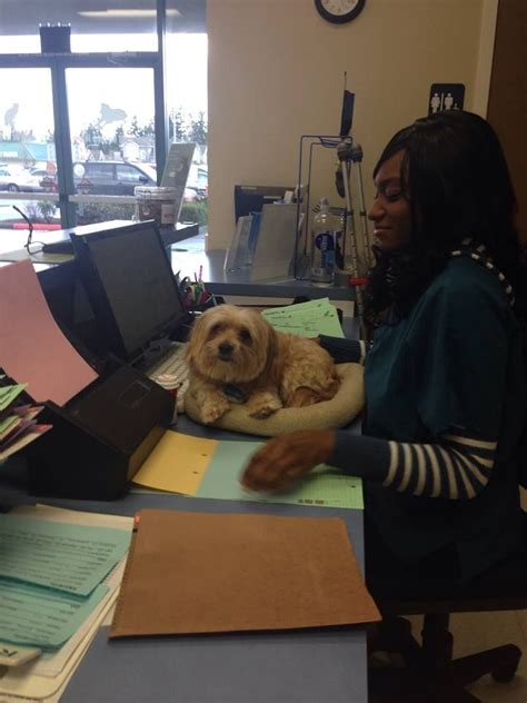 As a clinic specializing in preventive care we are able to offer. Value Pet Clinic | Pet clinic, Pets, Clinic