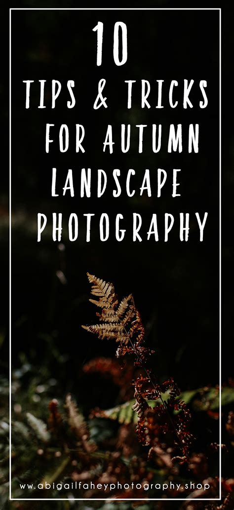 10 Tips And Tricks For Autumn Landscape Photography