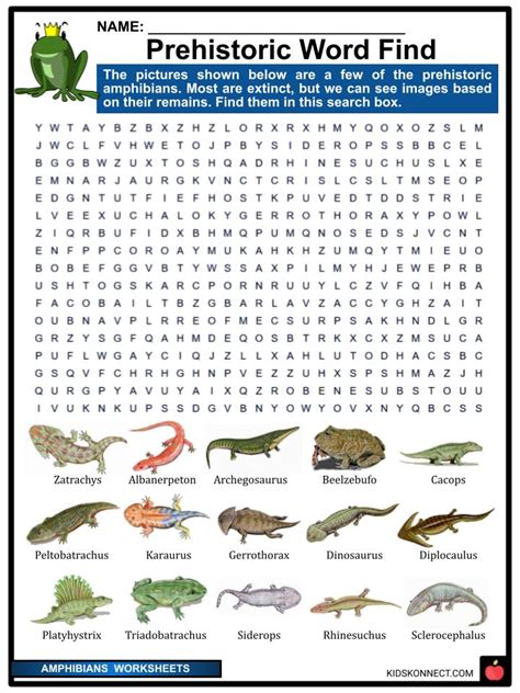 Amphibians Worksheets And Facts Evolution Life Cycle Features