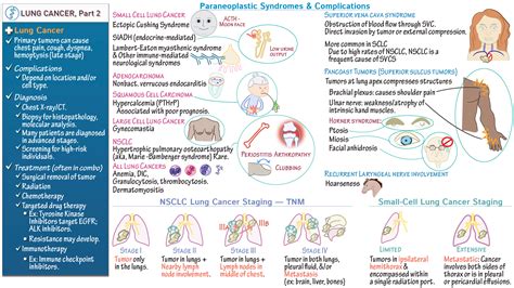 Pathology Lung Cancer Part 2 Diagnosis Complications And Staging Draw It To Know It