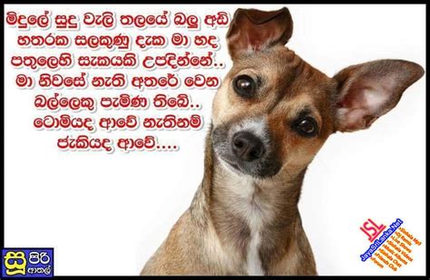 Become a fan remove fan. Jayasrilanka Net Live Show : JayaSriLanka.Net Sinhala Mp3 ...