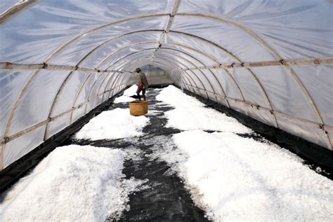 Menengok Produksi Garam Sistem Tunel Di Kampung Garam Mirit Republika