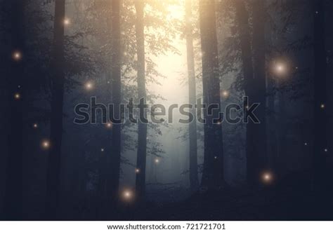 Magical Forest With Sparkles At Sunset