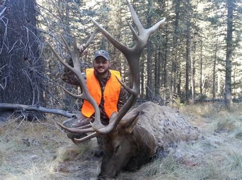 Valles Caldera Elk Pictures Please New Mexico Monster Muleys Community