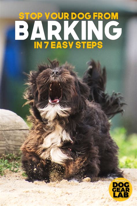 Heres How To Stop Dog Barking In 7 Easy Steps Check Out These Dog