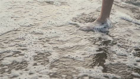 Female Feet Walk On Wet Sand On Coast Of Sea Stock Footage Sbv