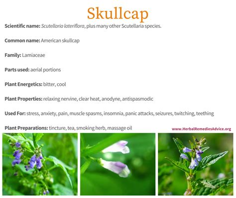 It also features passionflower prepared from the flowering herb (leaf, flower and stem) of certified organic. Skullcap Herb