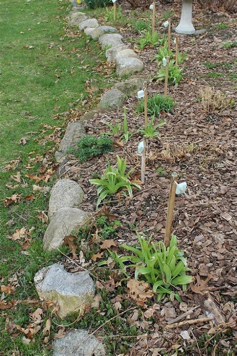 2 keeping deer away with smells. Repelling Deer Using Irish Spring Soap - A Test | Gardens ...