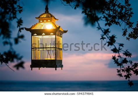 Lanterns Hanging Trees Decorate Sunset Made Stock Photo Edit Now