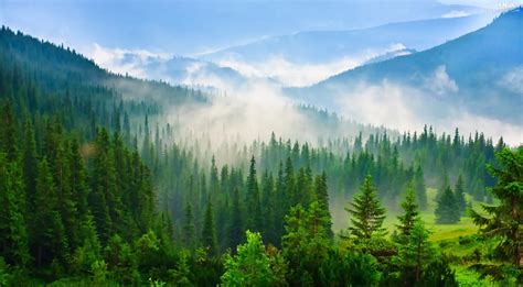 Fog Mountains Woods Nice Wallpapers 2048x1132