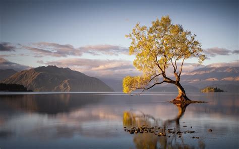 Reflection in ap grade 8 first grading tagalog. landscape, Nature, Sunrise, Lake, Trees, Mountain, Water ...
