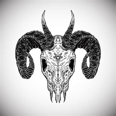 Premium Vector Black Death Goat Skull Horned Horror Satan Dark
