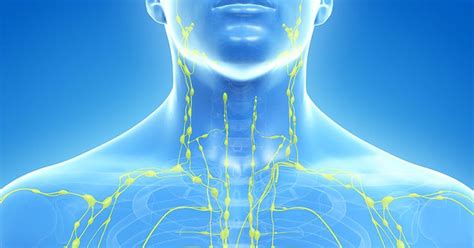 The Lymphatic System Is How Cancer Spreads Here Are 5 Ways To Keep It