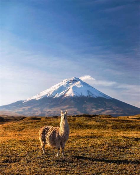 Amazing View Of The Cotopaxi Volcano Ecuador South America Travel