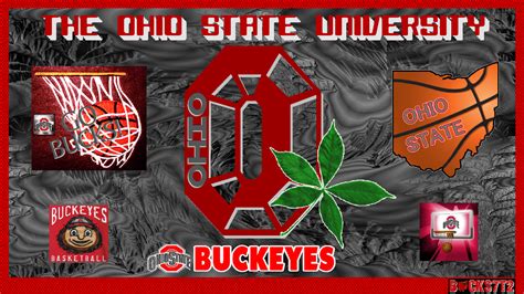 Osu Buckeyes Go Bucks Ohio State University Basketball Wallpaper 27659137 Fanpop