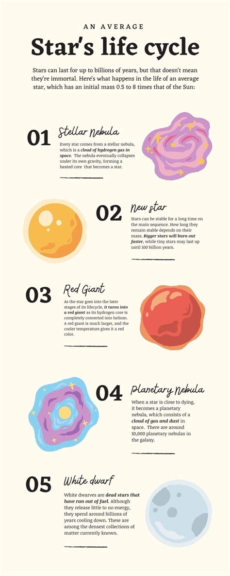 Beige Organic Star Life Cycle Astronomy Infographic Templates By Canva