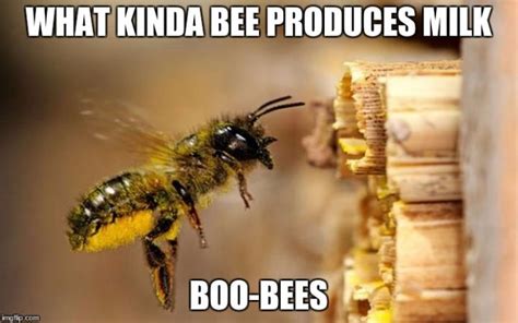 20 Entertaining Bee Memes You Just Cant Ignore