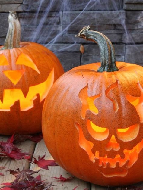 Four o'clocks now in full bloom. 1001+ pumpkin carving ideas to try this Halloween
