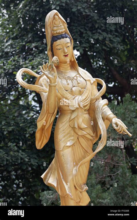 Female Bodhisattva Hi Res Stock Photography And Images Alamy