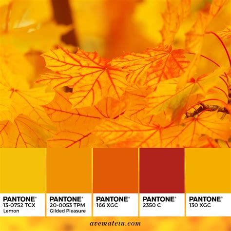 Autumn Leaves Pantone Color Palette 347 Pantone Colour Palettes