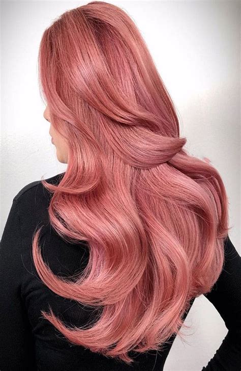 Gilded Rose Hair Color Fashionblog