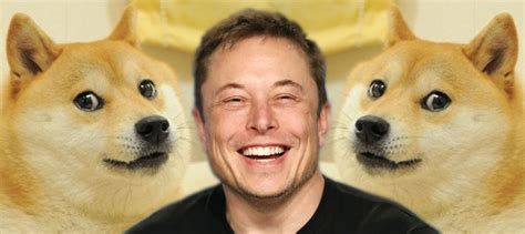 Someone suggested changing dogecoin fees based on phases of the moon, which is pretty awesome haha. Elon Musk pede ajuda a criador do Dogecoin para combater ...