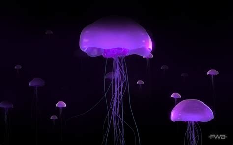 We did not find results for: 30 HD Purple Wallpapers