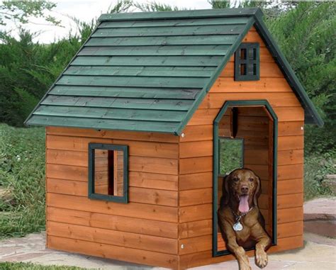 How To Build A Large Insulated Dog House Dog House