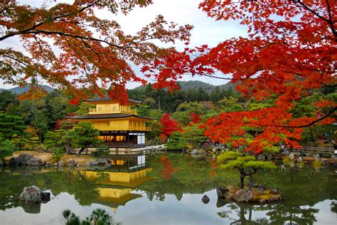 Experience The Beauty Of Autumn In Japan Asia Trend
