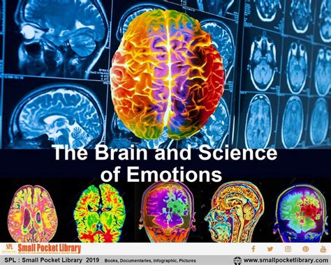 The Brain And Science Of Emotions