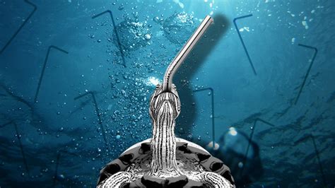 If you're concerned about the outside of the straws (where you put your mouth) being sterile, you can follow each wash by passing a cotton ball of rubbing alcohol over the straw. Metal Straws vs. Plastic: Their Impact on the Environment