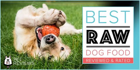 In late 2020, multiple pet owners in missouri were dealing with dog deaths. 11 Best Commercial Raw Dog Food Brands (Fresh, Frozen ...