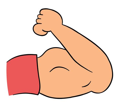 Cartoon Vector Illustration Of Strong Muscular Arm Biceps 2779762