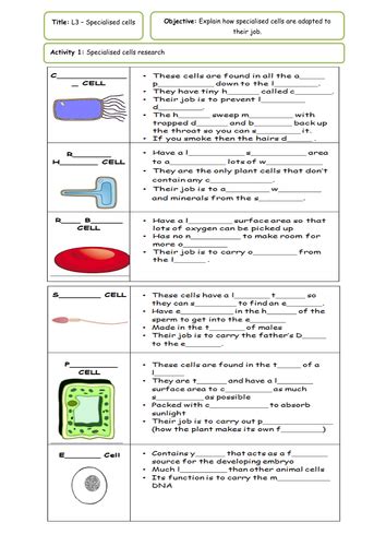 Animal and plant cells ks4 tes. NEW KS4 AQA - Cells topic - LOW/MID ability by MJD33 ...