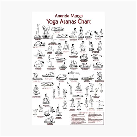 Yoga Asanas Chart Book Lllustrated Yoga Pose Chart With 60 Poses Aka