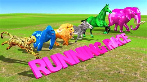 Learn Wild Animals Running Race Video For Kids Wild Animals Names