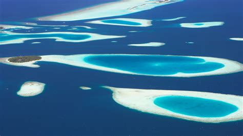 Visit South Ari Atoll 2023 Travel Guide For South Ari Atoll Maldives