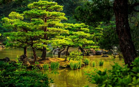 Japan Kyoto Garden Wallpaper Nature And Landscape Wallpaper Better