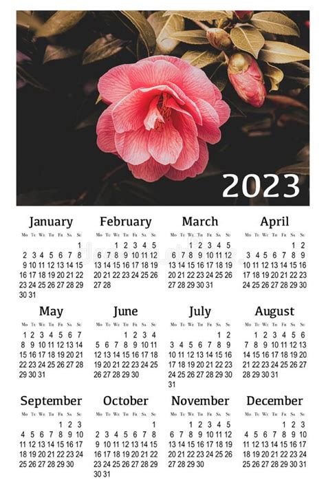 Botanical Calendar For 2023 Vertical Wall Calendar Stock Illustration