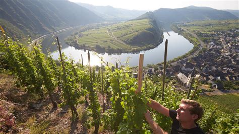 Der Tag in Rheinland-Pfalz: Welche Themen am Donnerstag ...