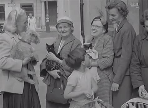 You can look at the address on the map. Mobile Pet Clinic (1957) - Cinema Cats