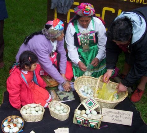La Historia De Los Mapuches Agricultura Mapuche